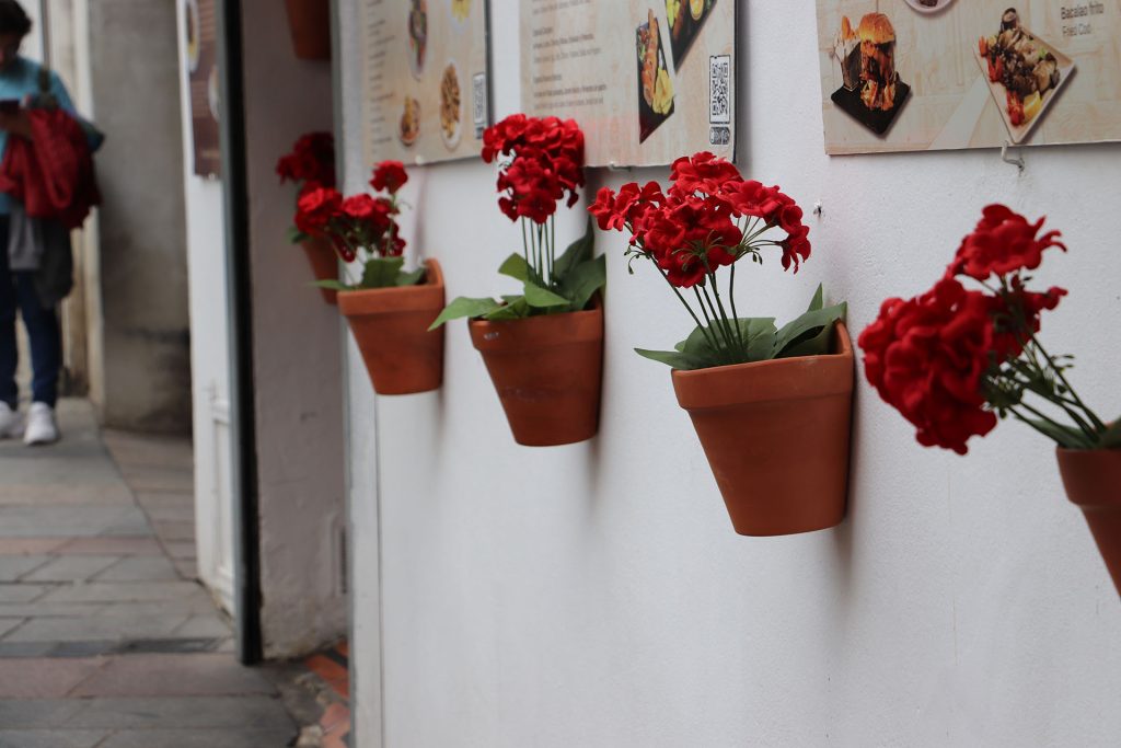 Macetas de geranios rojos en una fachada encalada de la Judería de Córdoba